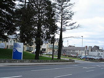 Man dies after Naas assault